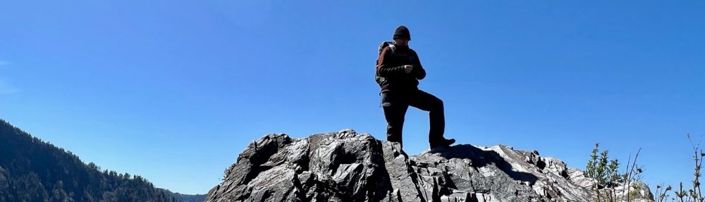 Terri Phoenix Collective